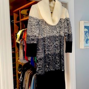 Sandra Darren Turtleneck Sweater Dress